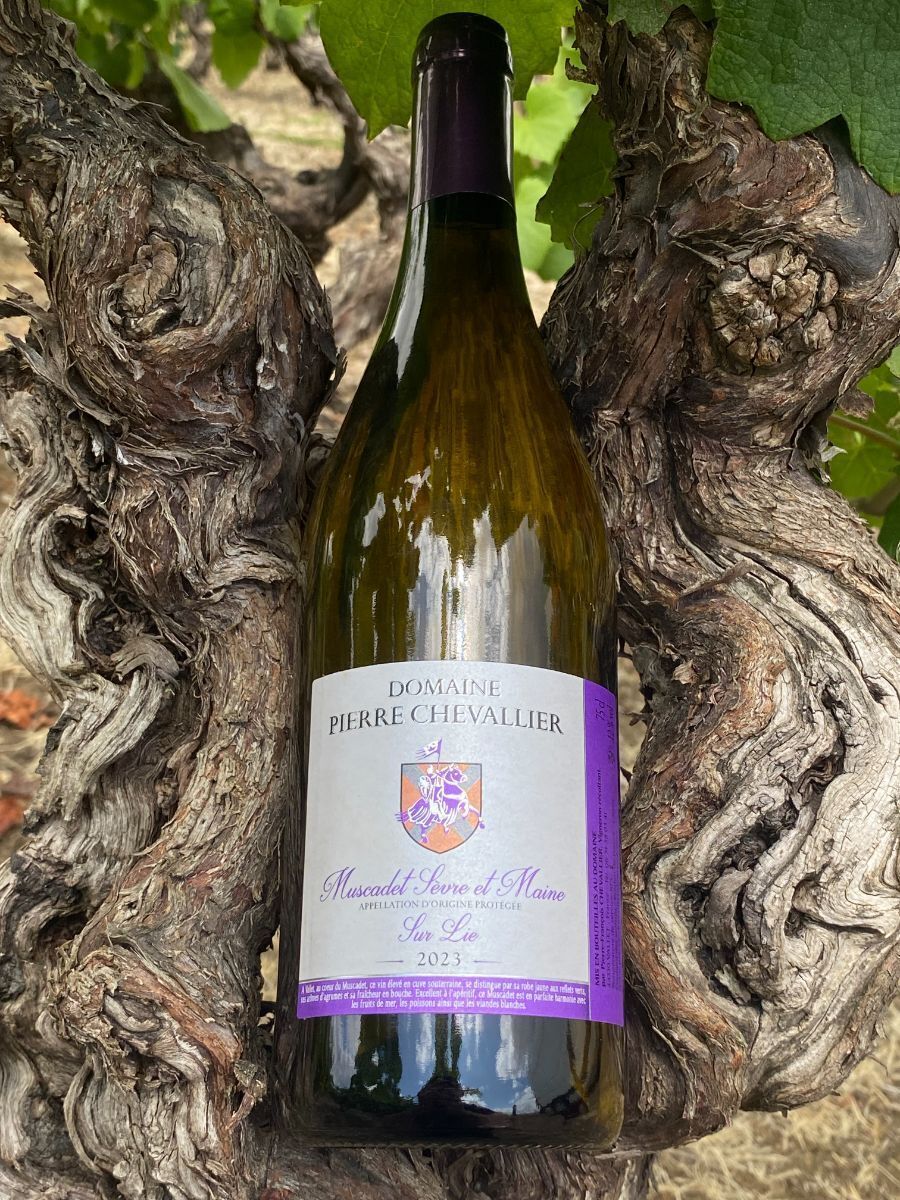 Muscadet Sèvre et Maine Sur Lie.JPG