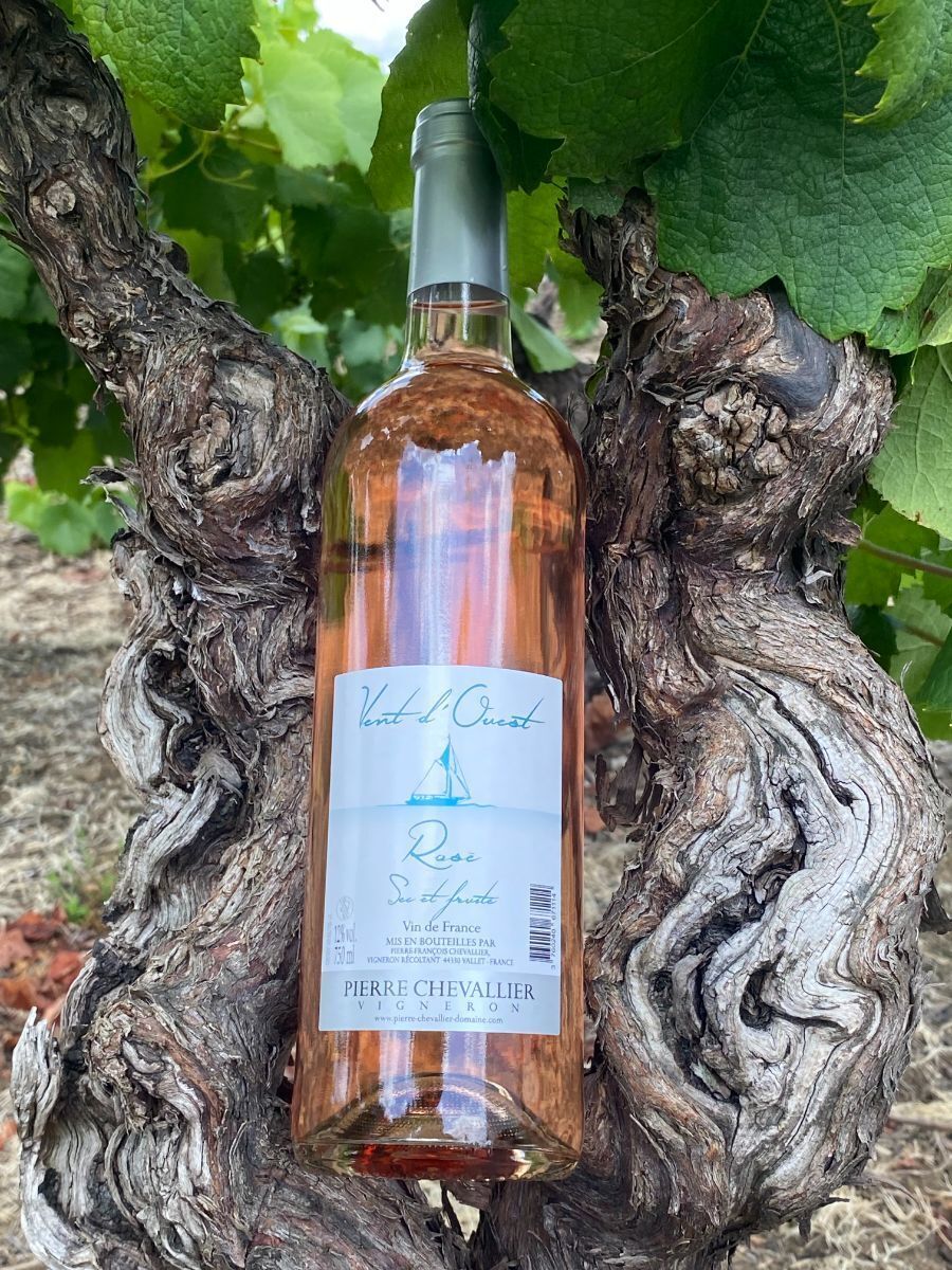 Rosé Vent d'Ouest.JPG